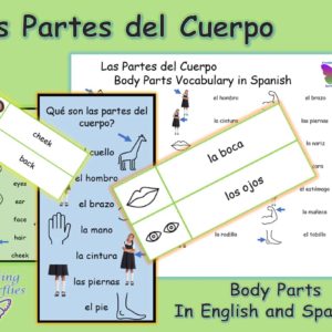 English and Spanish vocabulary words to learn about the parts of the body.